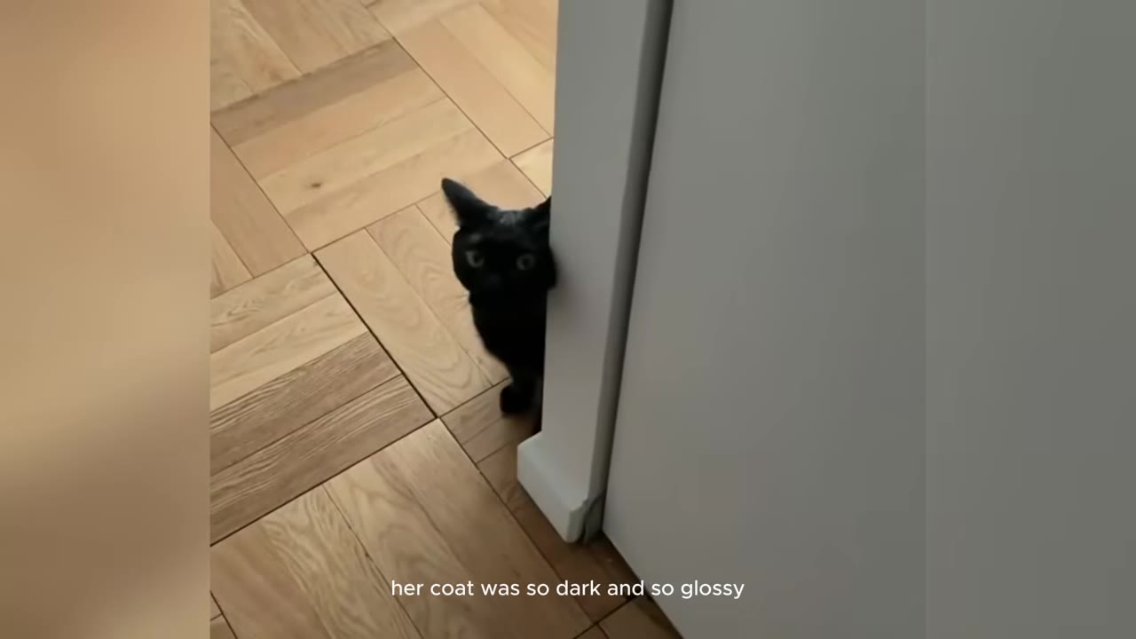 A black cat peeking out from behind a white doorframe onto a wooden parquet floor.