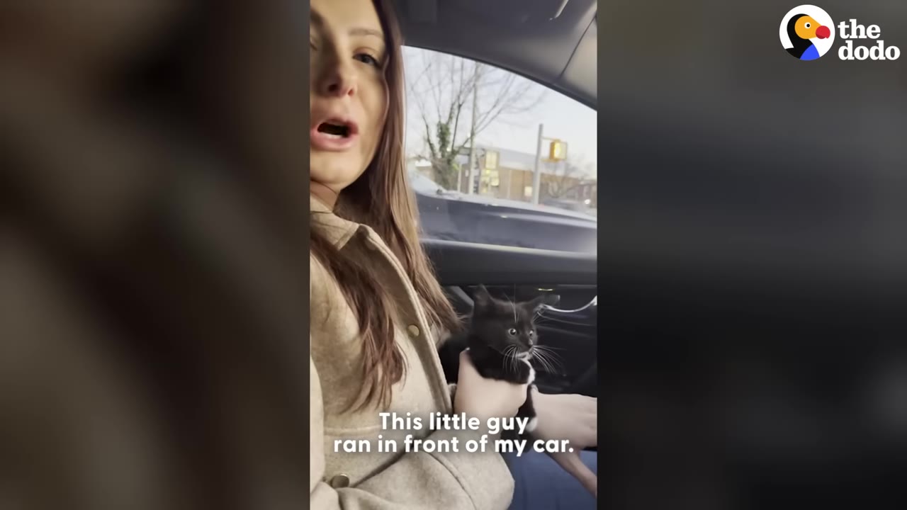 A woman sits in the driver's seat of her car, holding a small black-and-white kitten in her lap.