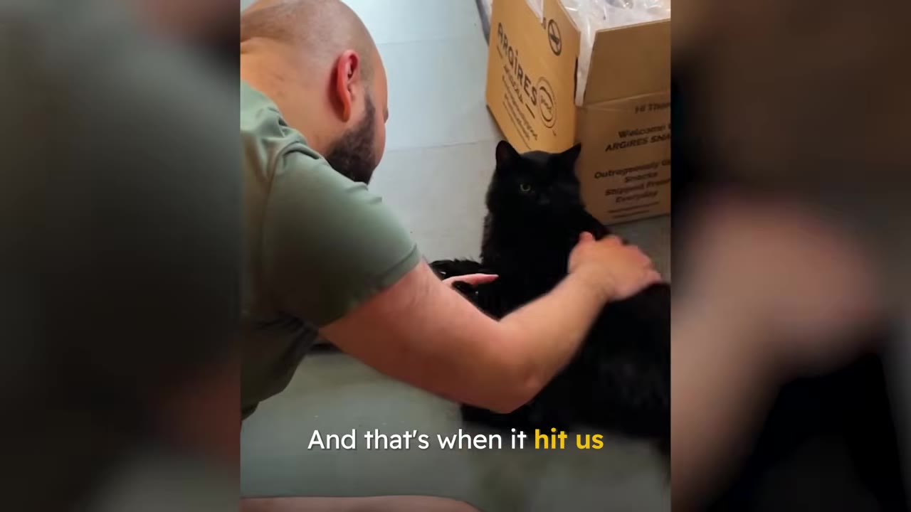 A man with a shaved head and a green shirt pets a fluffy black cat sitting on the floor next to a cardboard box.