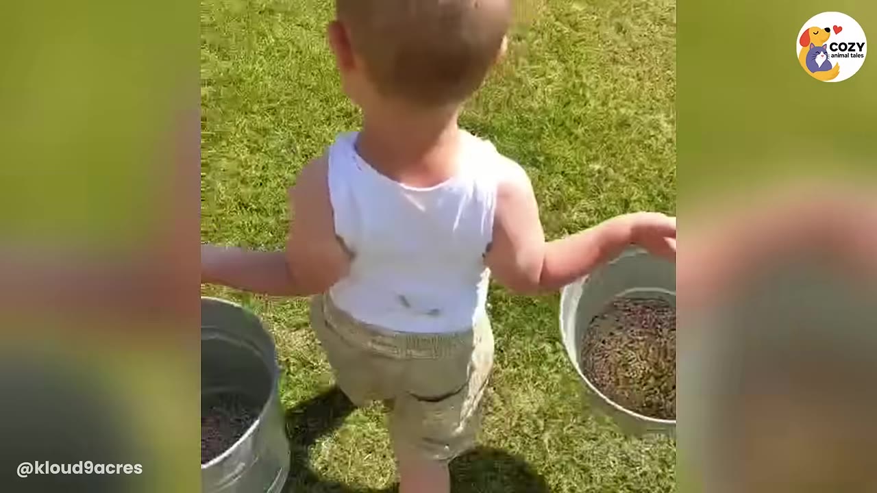 A young boy in a white tank top and shorts seen from behind, carrying two metal buckets filled with animal feed across a grassy field.