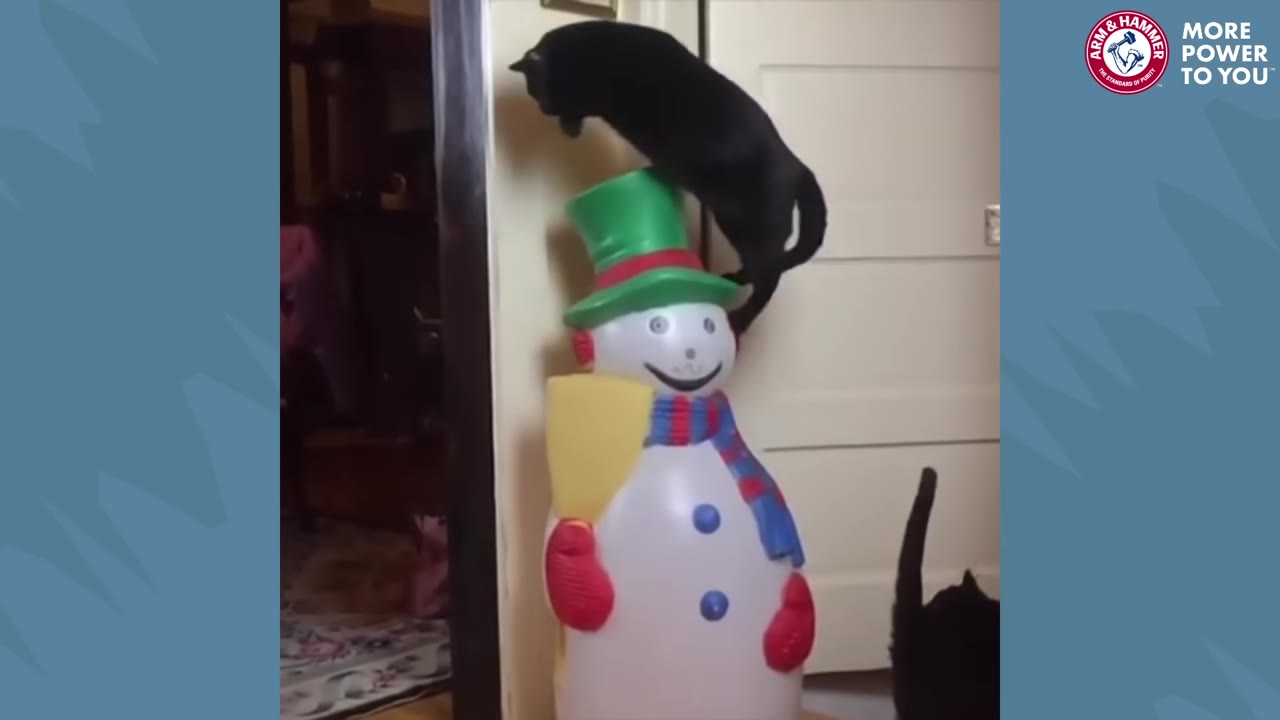 A black cat balances on top of the green hat of an inflatable snowman decoration.