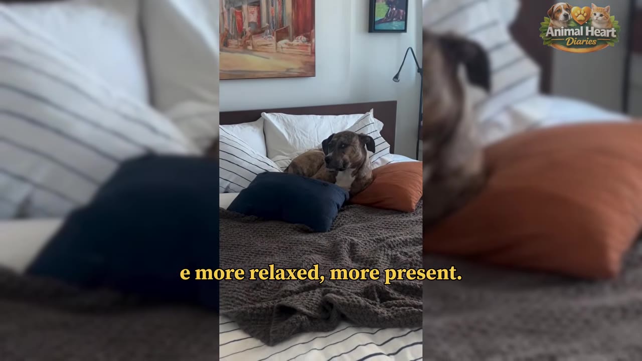 A brindle dog lies comfortably on a bed with pillows and a brown blanket in a well-lit bedroom.