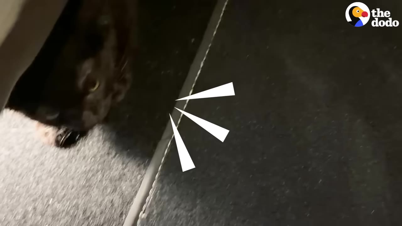 A small kitten hiding in a dark, tight space under a car seat on the carpeted floor of a vehicle.