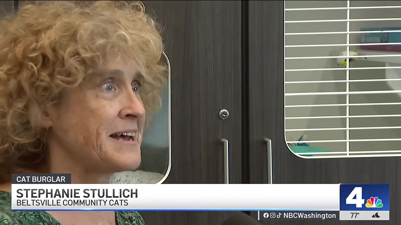 A close-up of Stephanie Stullich, a woman with curly blonde hair, speaking with a surprised expression.