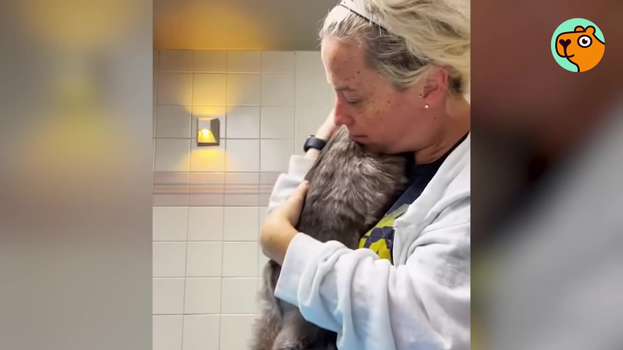 A woman with blonde hair pulled back in a headband tenderly hugs a fluffy grey cat close to her chest in a room with white tiled walls.