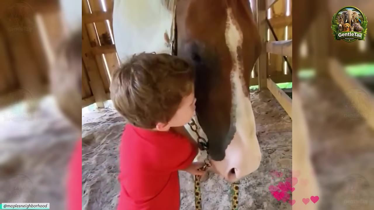 A close-up shot of a young boy in a red shirt leaning his face gently against the muzzle of a brown and white horse inside a wooden stable.