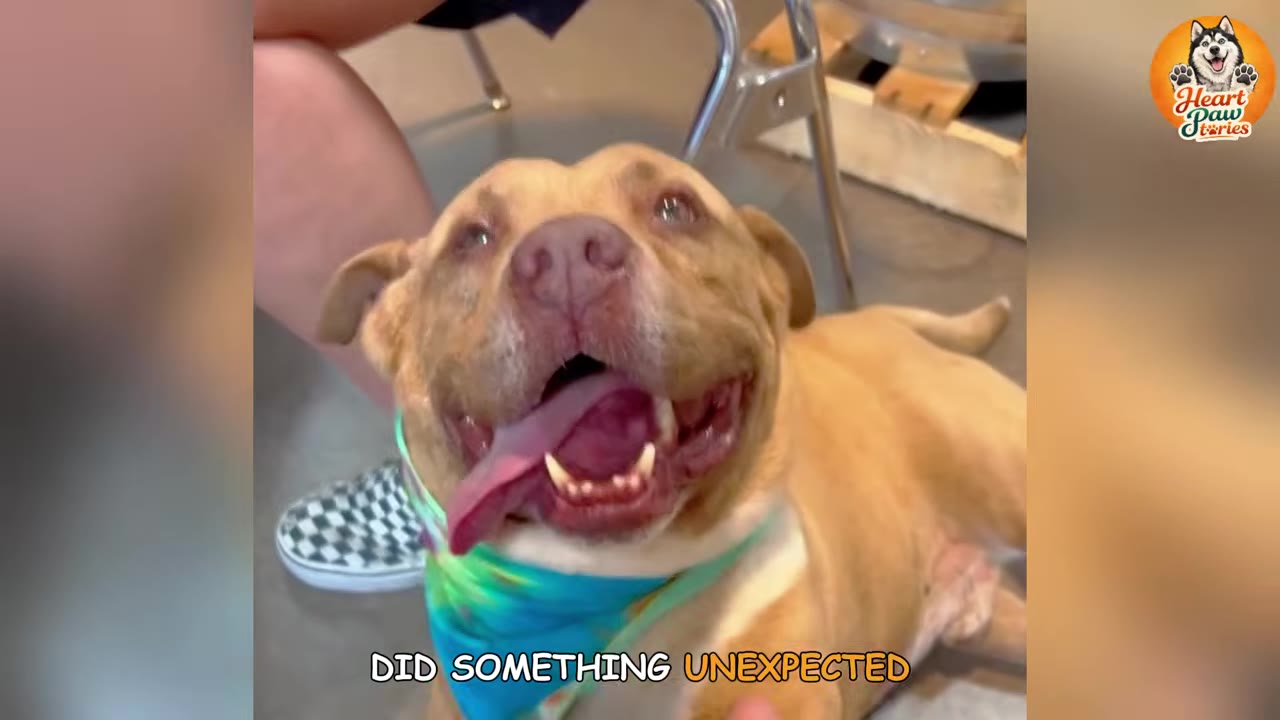 A happy tan dog with a colorful bandana looks up with an open mouth and tongue out, appearing to smile.