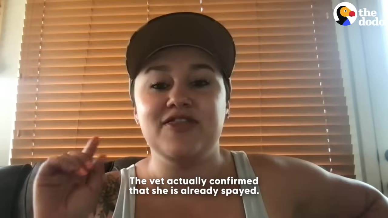 A woman wearing a baseball cap and tank top speaks to the camera in front of window blinds, with a subtitle reading 'The vet actually confirmed that she is already spayed.'