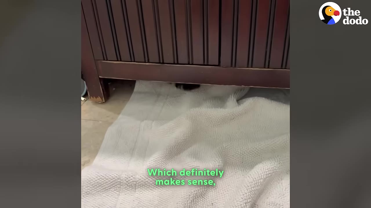 A white towel laid out on a bathroom floor underneath a dark wooden cabinet, where a cat is hiding in the shadows.