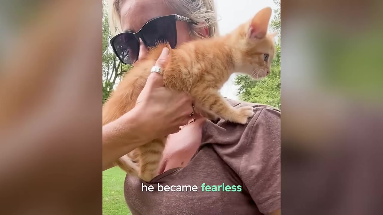 An orange kitten stands on a woman's shoulder, looking forward with curiosity as she holds him.