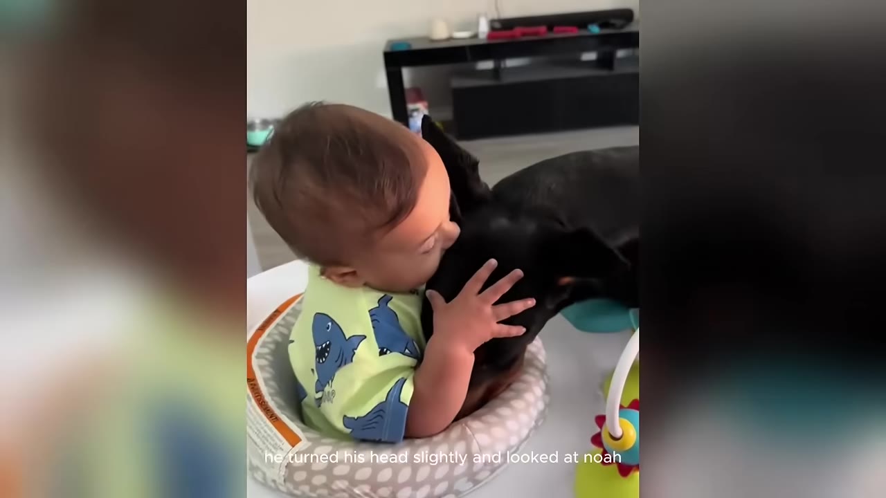 A close-up shot of a baby in a patterned high chair gently hugging the head of a black Doberman pinscher.