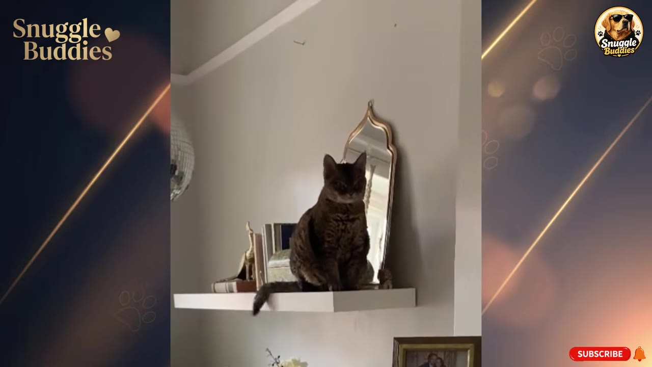 A brown tabby cat sitting on a white floating shelf next to a small mirror.