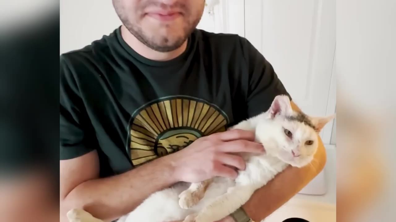 A man in a dark green t-shirt cradles a white cat with grey markings on its head, gently petting its chin.