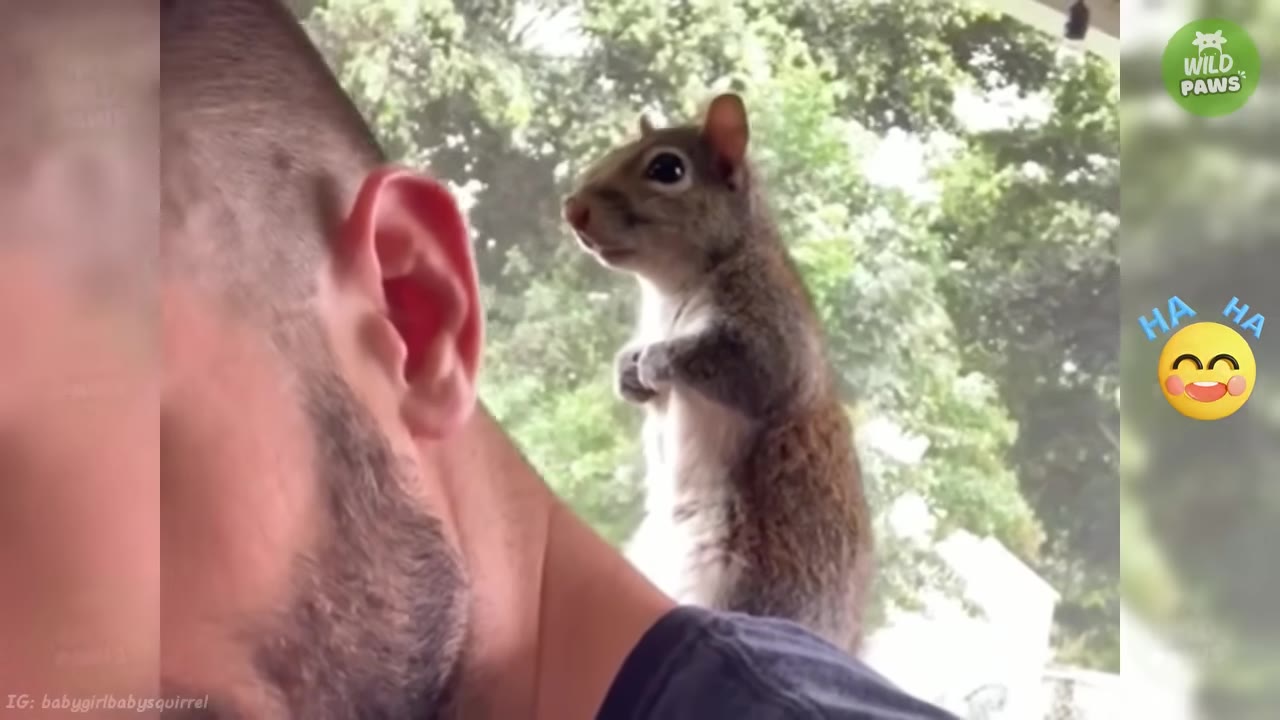 A small brown squirrel stands alertly on the shoulder of a man with short hair, looking out towards green trees in the background.
