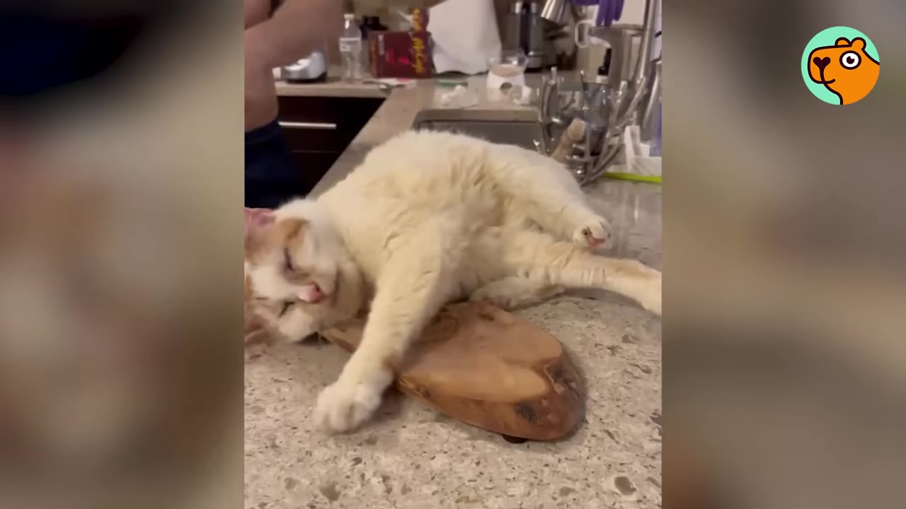 A light-colored cat with orange patches lies comfortably on a kitchen counter, rubbing its head against a small wooden cutting board.