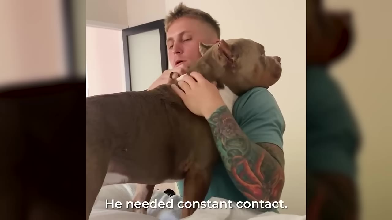 A man with tattooed arms holds a large, light brown dog close to his chest in an embrace.