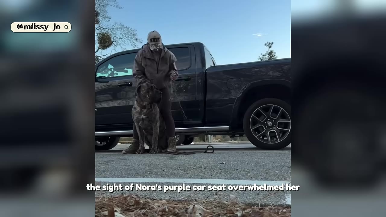 A person wearing a cap and jacket stands next to a large brindle dog on a leash in a parking lot in front of a dark pickup truck.