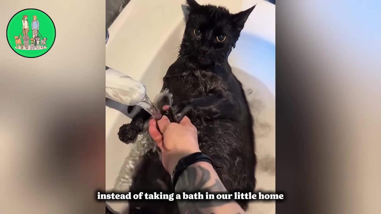 A wet black cat lies on its back in a sink, stretching its front paws out toward a person's hand under a stream of running water.