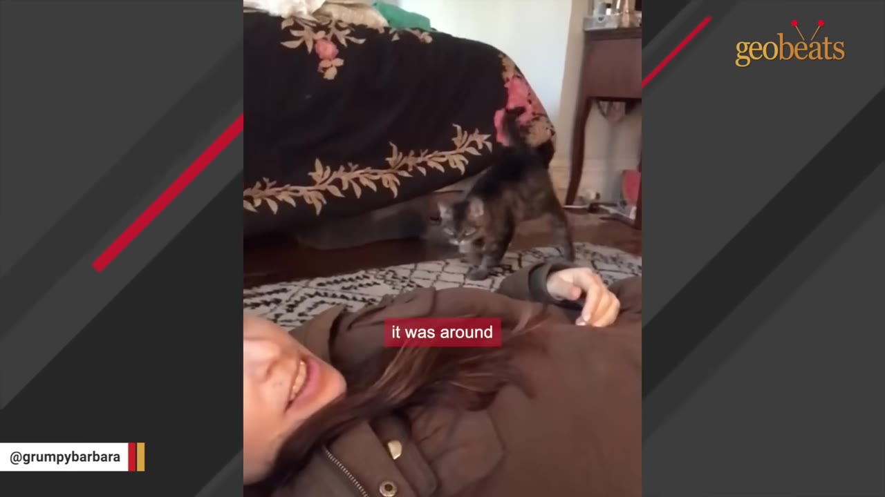 A woman lies on her back on a rug, smiling, as a small tabby cat cautiously approaches her from near a bed.