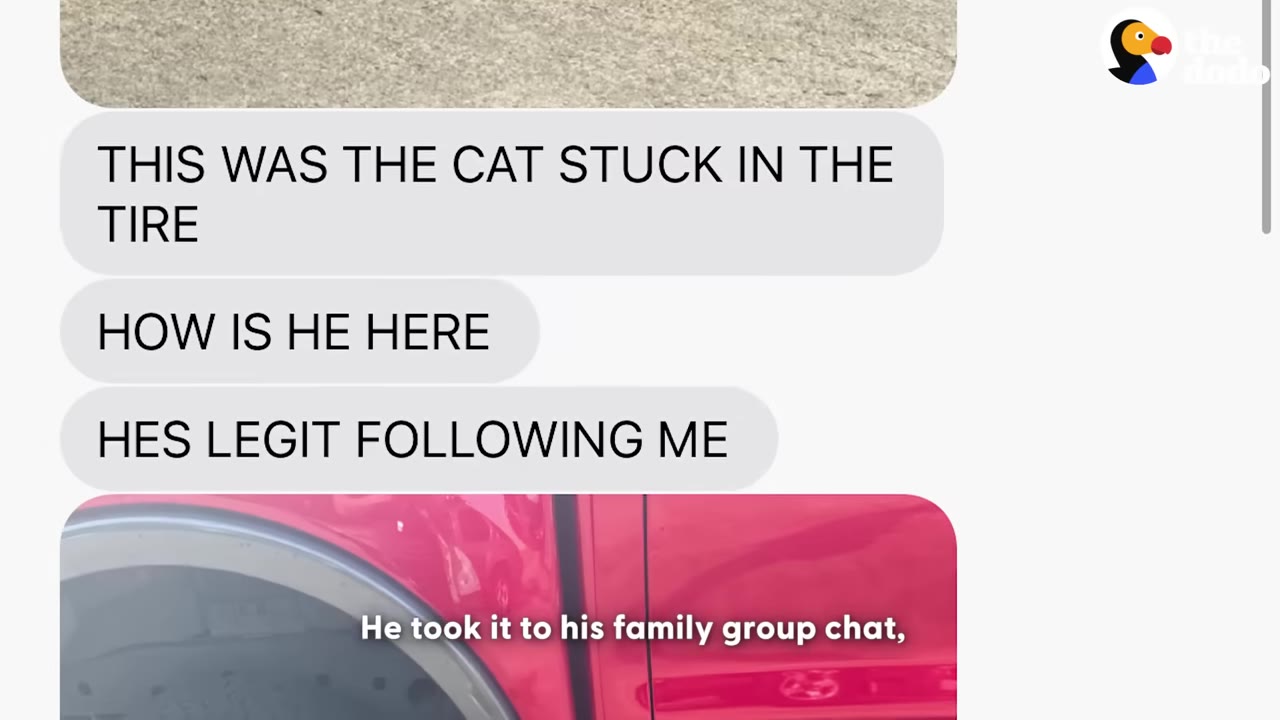 A screenshot of a text message conversation showing messages that read 'THIS WAS THE CAT STUCK IN THE TIRE', 'HOW IS HE HERE', and 'HES LEGIT FOLLOWING ME'.