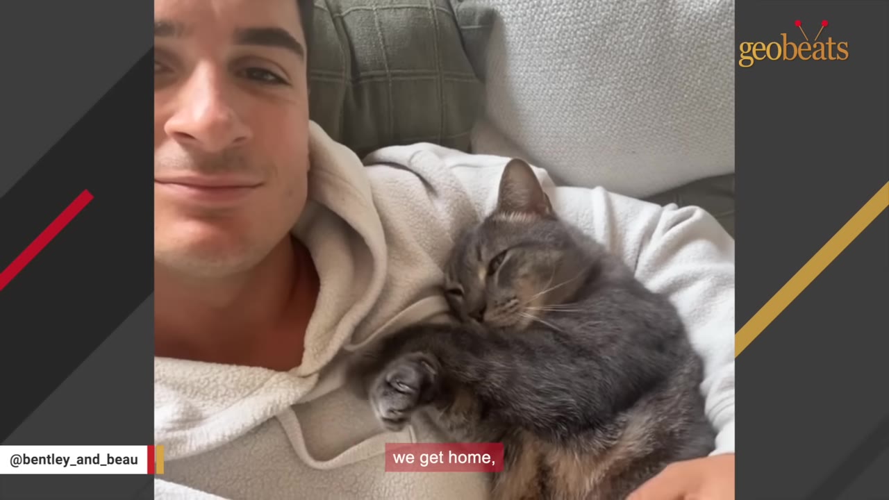 A grey tabby cat cuddles closely on the chest of a smiling man wearing a white hoodie.