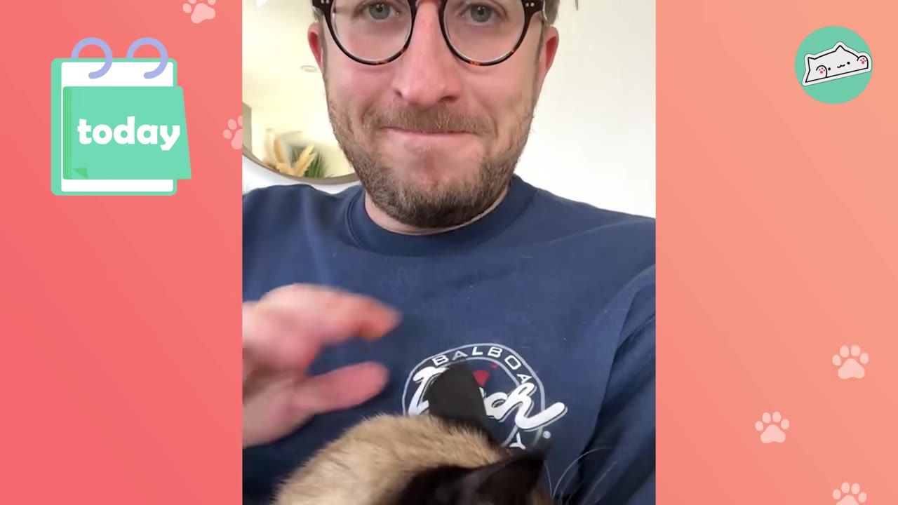 A close-up of a smiling man with glasses and a beard wearing a blue sweatshirt, holding a Siamese kitten.