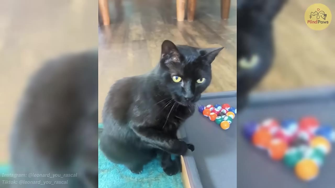 A black cat with yellow eyes sitting next to a miniature pool table with colorful billiard balls.