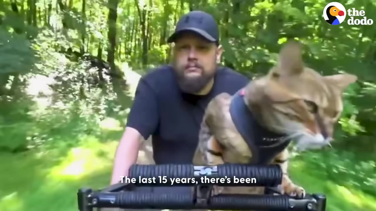 A man wearing a black cap and t-shirt rides a bicycle with a tabby cat wearing a harness sitting on the handlebars, with a forest background.