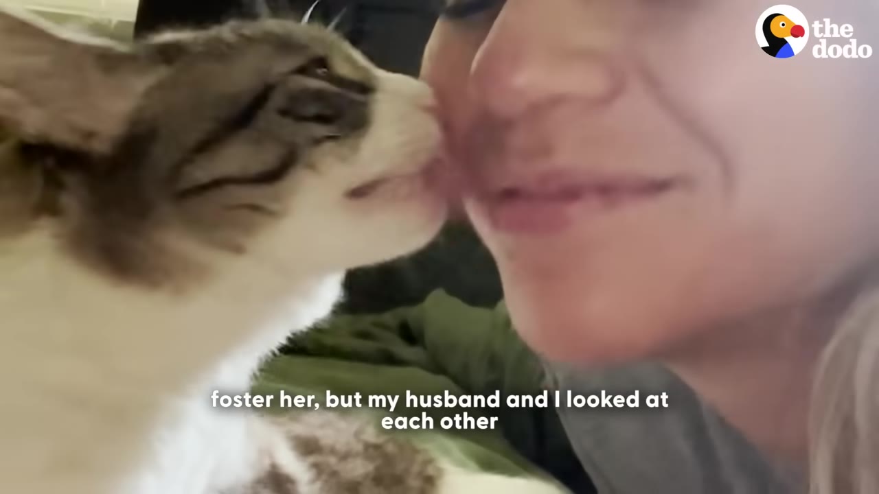 A close-up of a brown and white cat licking a woman's cheek as she smiles.