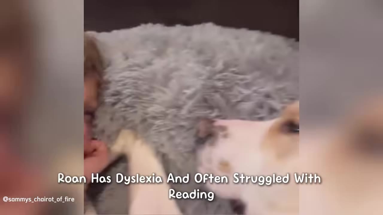A close-up shot of a young boy resting his head on a fluffy grey pillow next to a light-colored dog, with text overlay reading 'Roan Has Dyslexia And Often Struggled With Reading'.