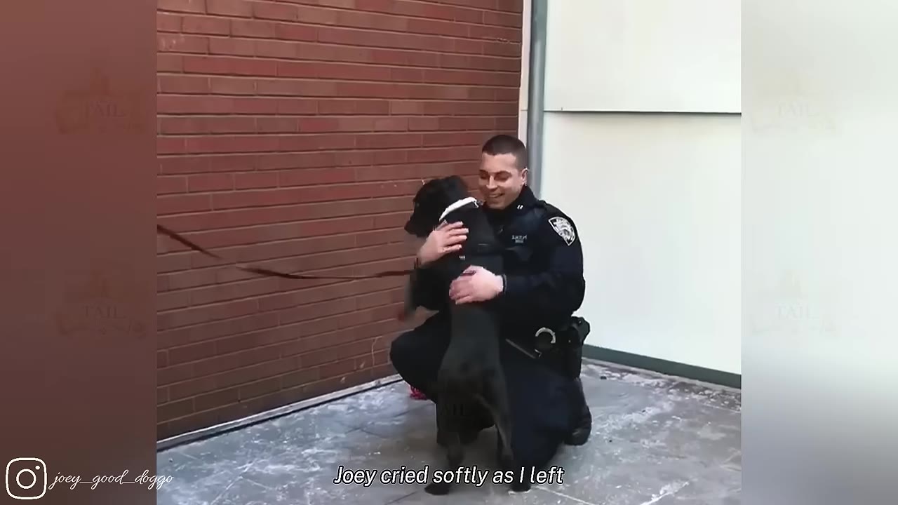 A police officer in uniform kneels on the ground, hugging a black dog tightly against a brick wall, with text on the screen reading 'Joey cried softly as I left'.