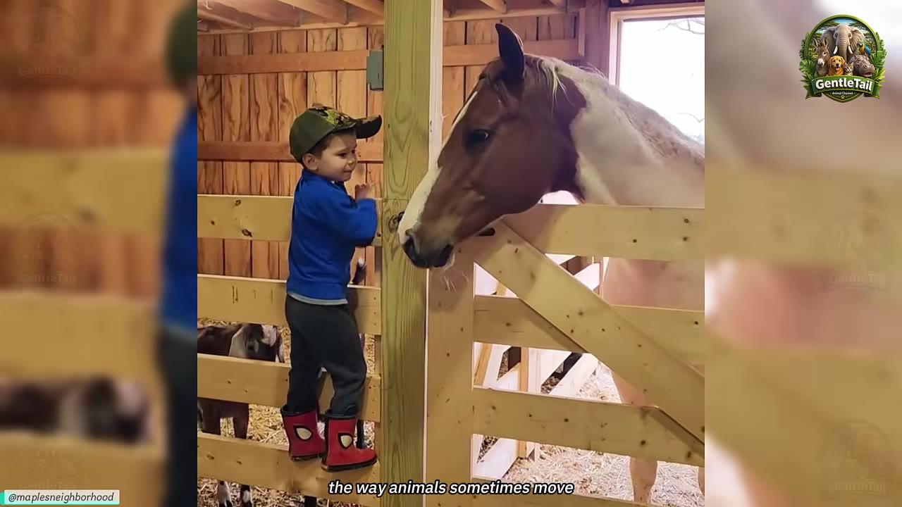 A young boy in a blue jacket, cap, and red boots stands on a wooden gate in a barn, gently touching his face to the nose of a brown and white horse.