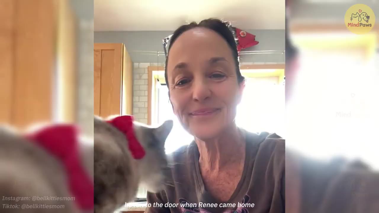A smiling woman looks at the camera while a fluffy grey and white cat wearing a red bow collar stands beside her.