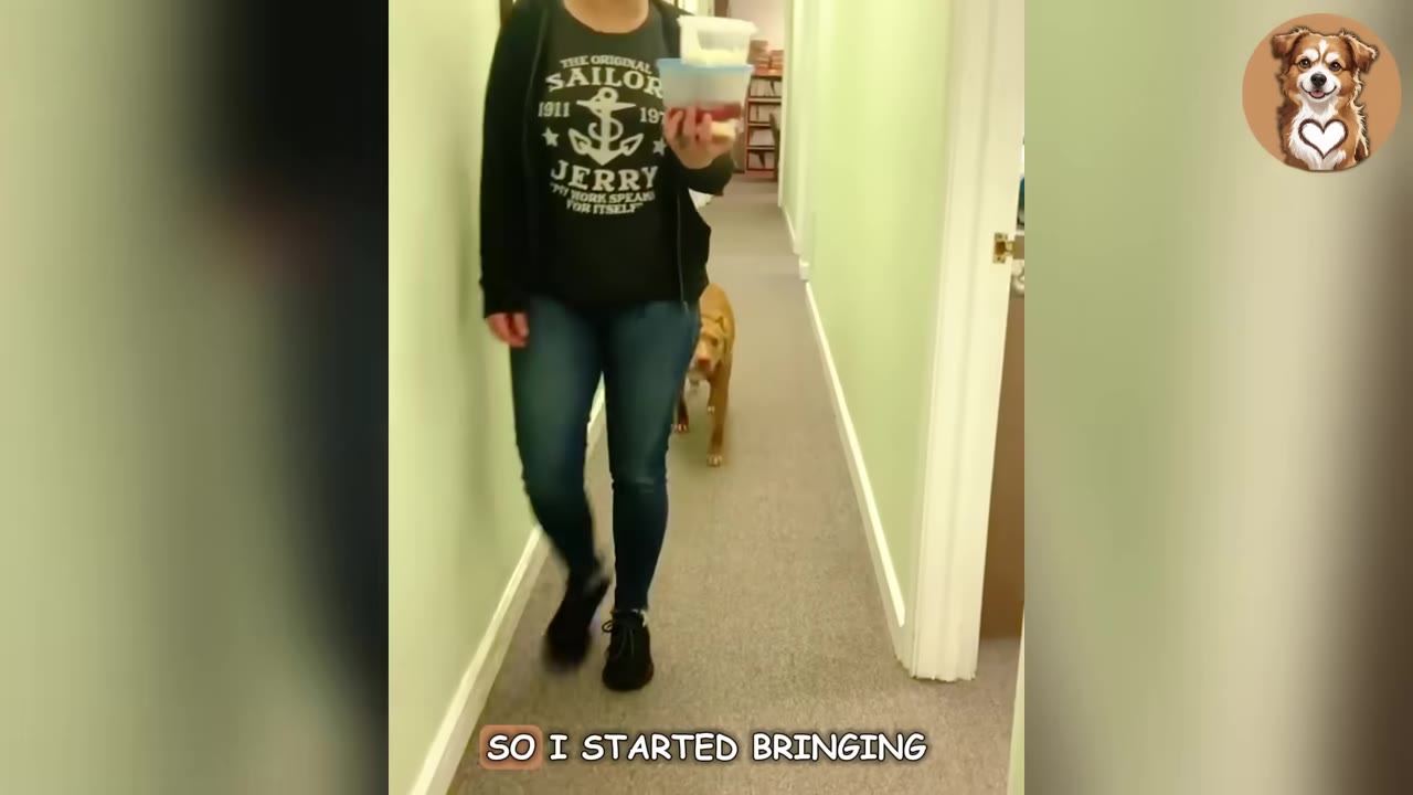 A person carrying lunch containers walks down an office hallway with a tan dog following closely behind.