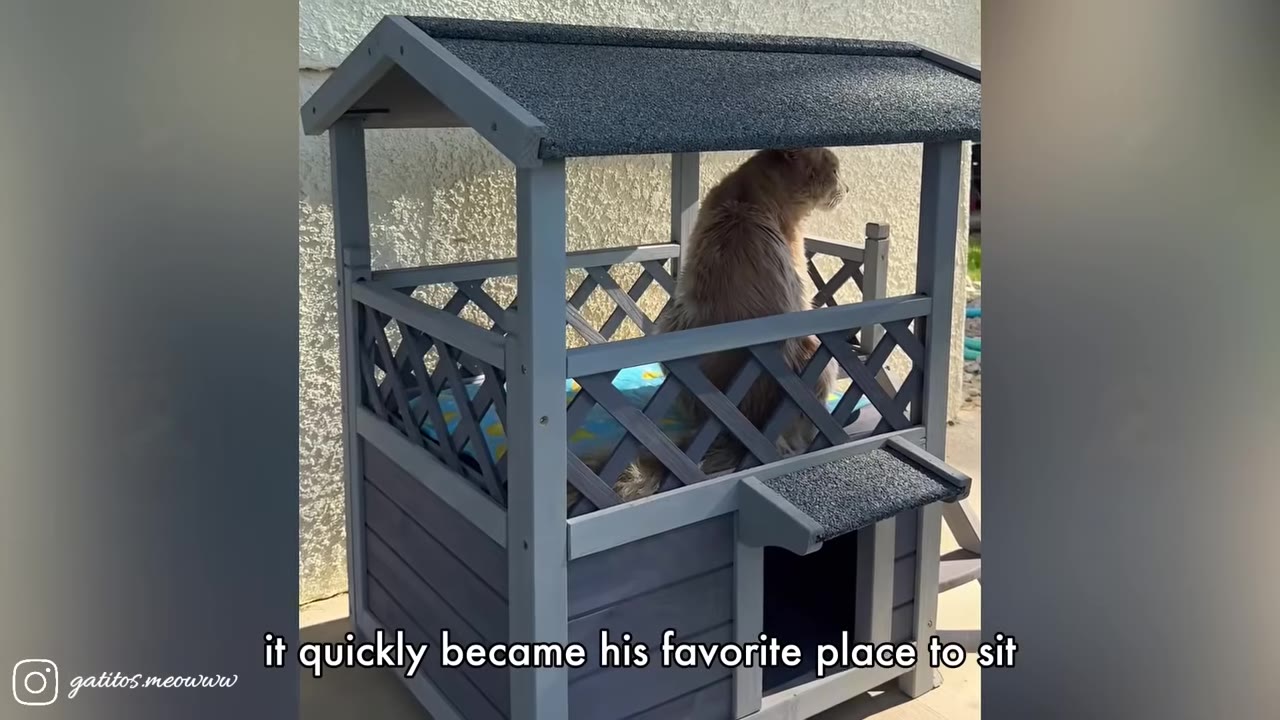 A fluffy, light-brown cat sits on the upper porch level of a grey wooden outdoor cat house with a dark roof.