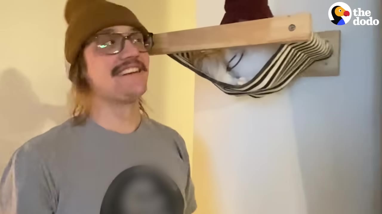 A man wearing a brown beanie smiles next to a cat resting in a wall-mounted hammock while wearing a tiny maroon beanie.
