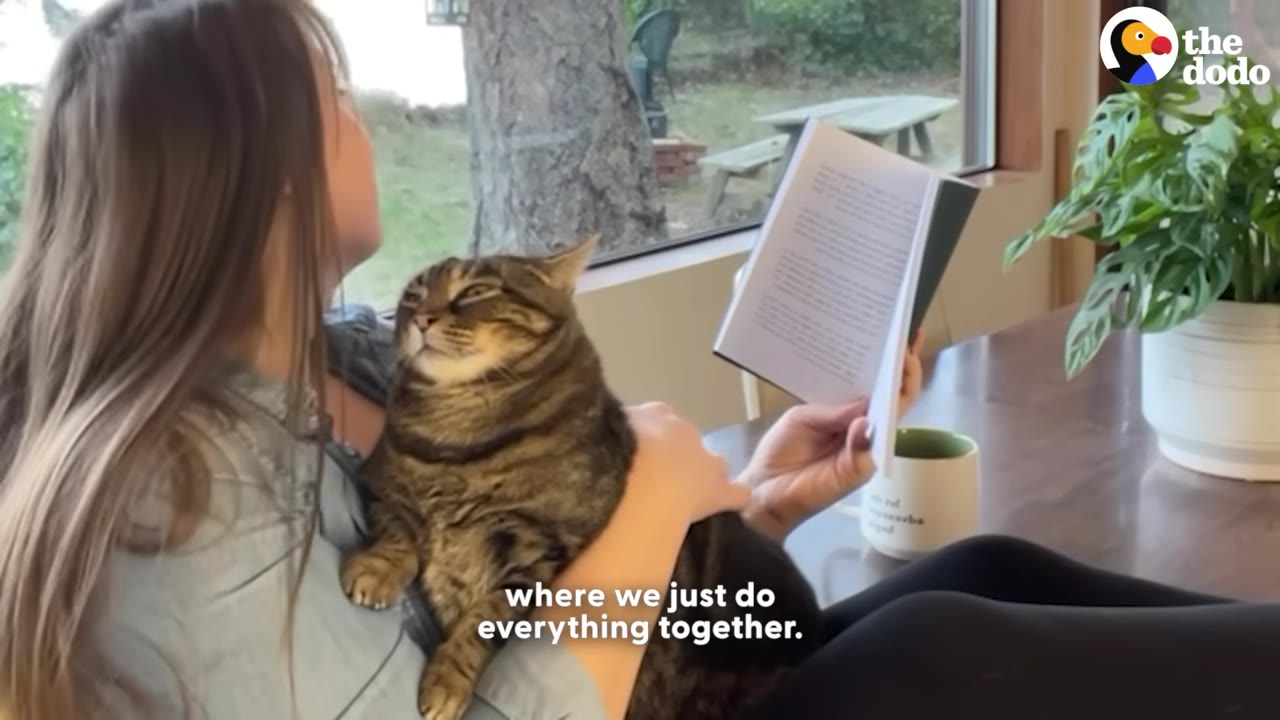 A woman sits by a window reading a book while cradling a relaxed tabby cat in her lap.