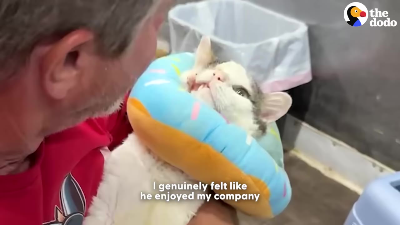 A man in a red shirt holds a white and grey cat wearing a blue donut-shaped recovery collar, as the cat looks up affectionately at him.