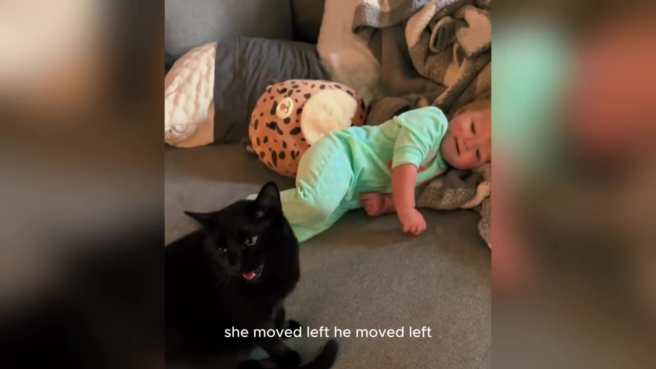A baby in light green pajamas lies on a grey couch next to a plush leopard toy, while a black cat sits nearby looking back.