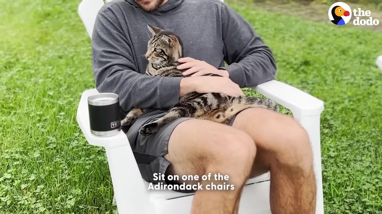 A man sitting in a white Adirondack chair on a green lawn with a tabby cat resting on his lap, while a black travel mug sits in the chair's cup holder.