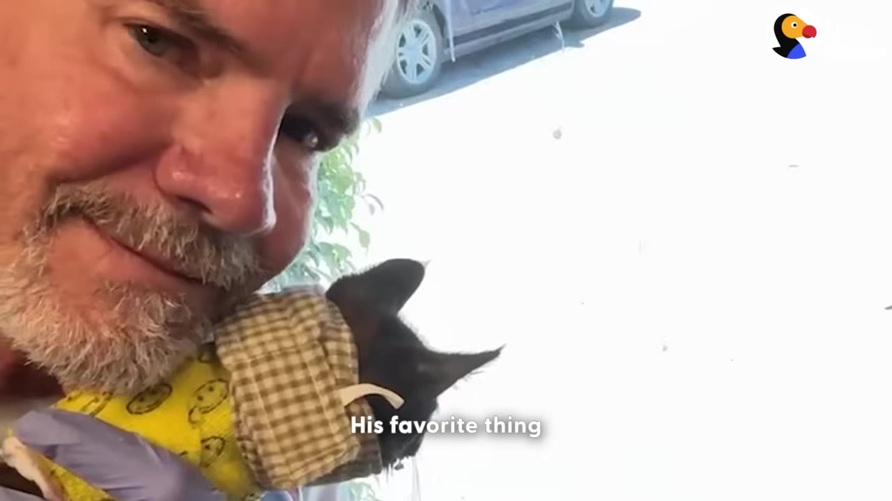 A close-up of a smiling man with a grey beard holding a small black kitten wearing a yellow patterned shirt and a checkered collar near a window.