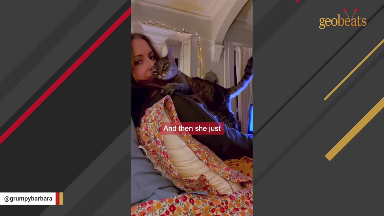 A woman lying in bed at night with a tabby cat climbing onto her shoulder and nuzzling her neck.