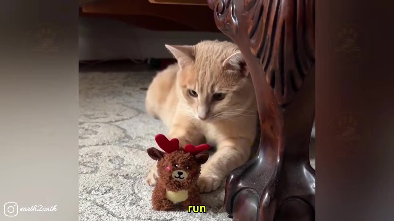 An orange cat lying on a carpet next to a wooden table leg, looking down with a solemn expression at a small stuffed reindeer toy.