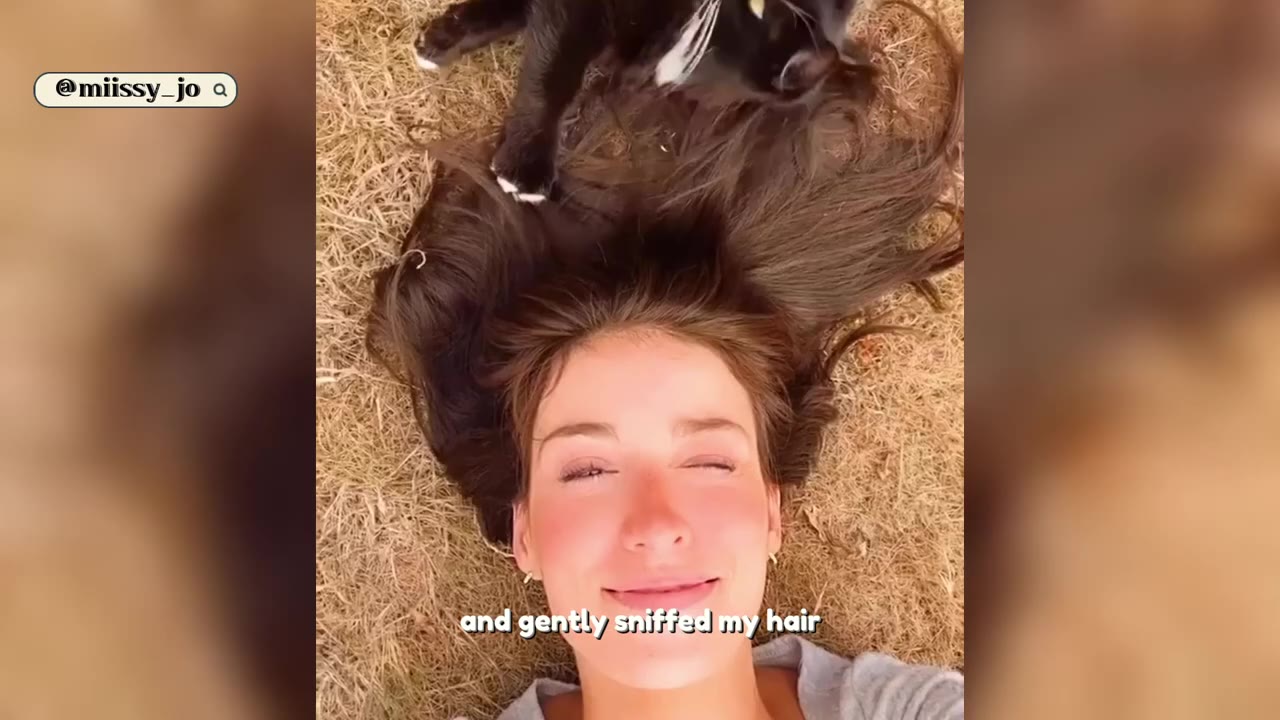 A woman lies on the dry grass with her eyes closed and a smile on her face as a black and white cat stands near her head, sniffing her hair.