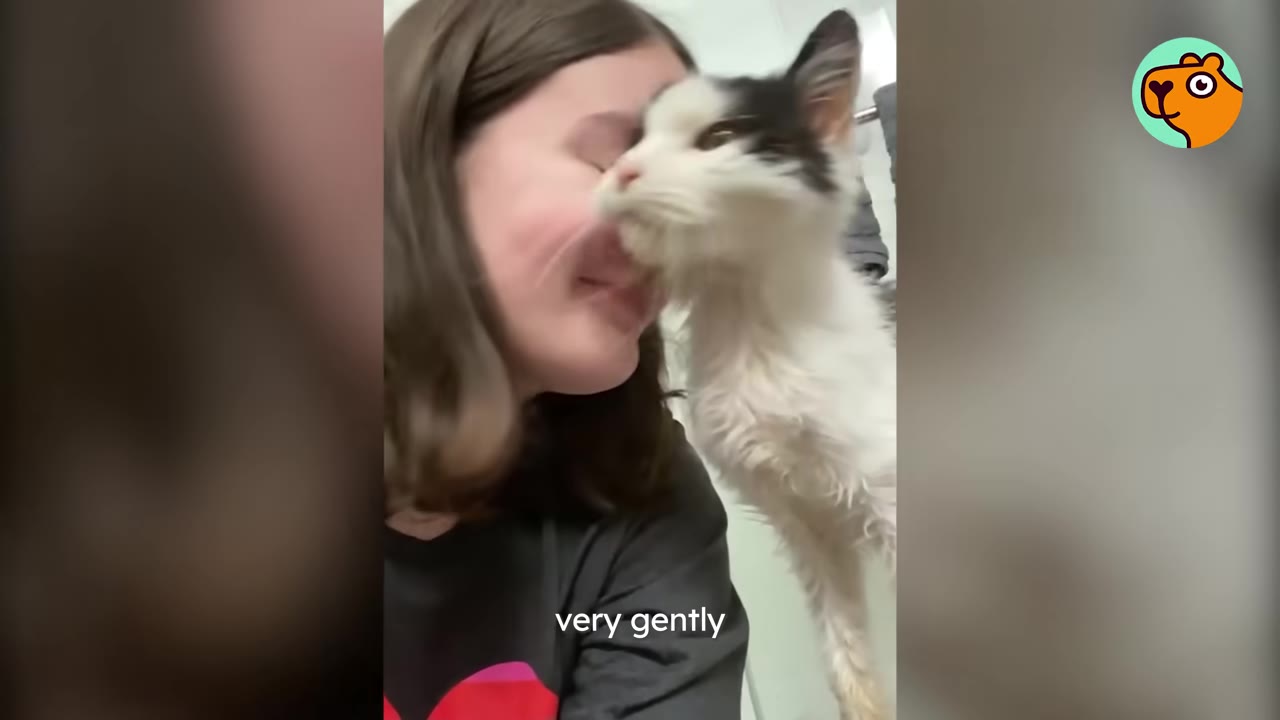 A fluffy black and white cat gently rubs its face against a smiling woman's cheek.