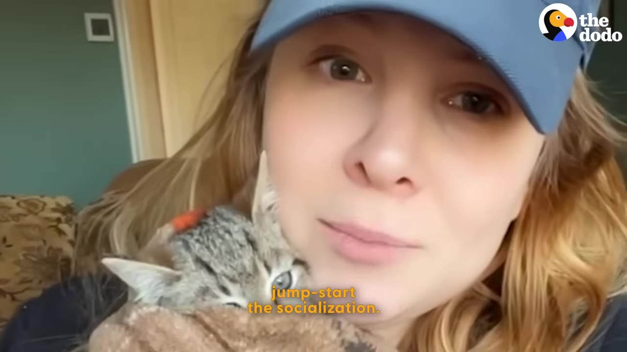 A woman wearing a blue cap holds a small tabby kitten wrapped like a burrito in a brown blanket close to her cheek.