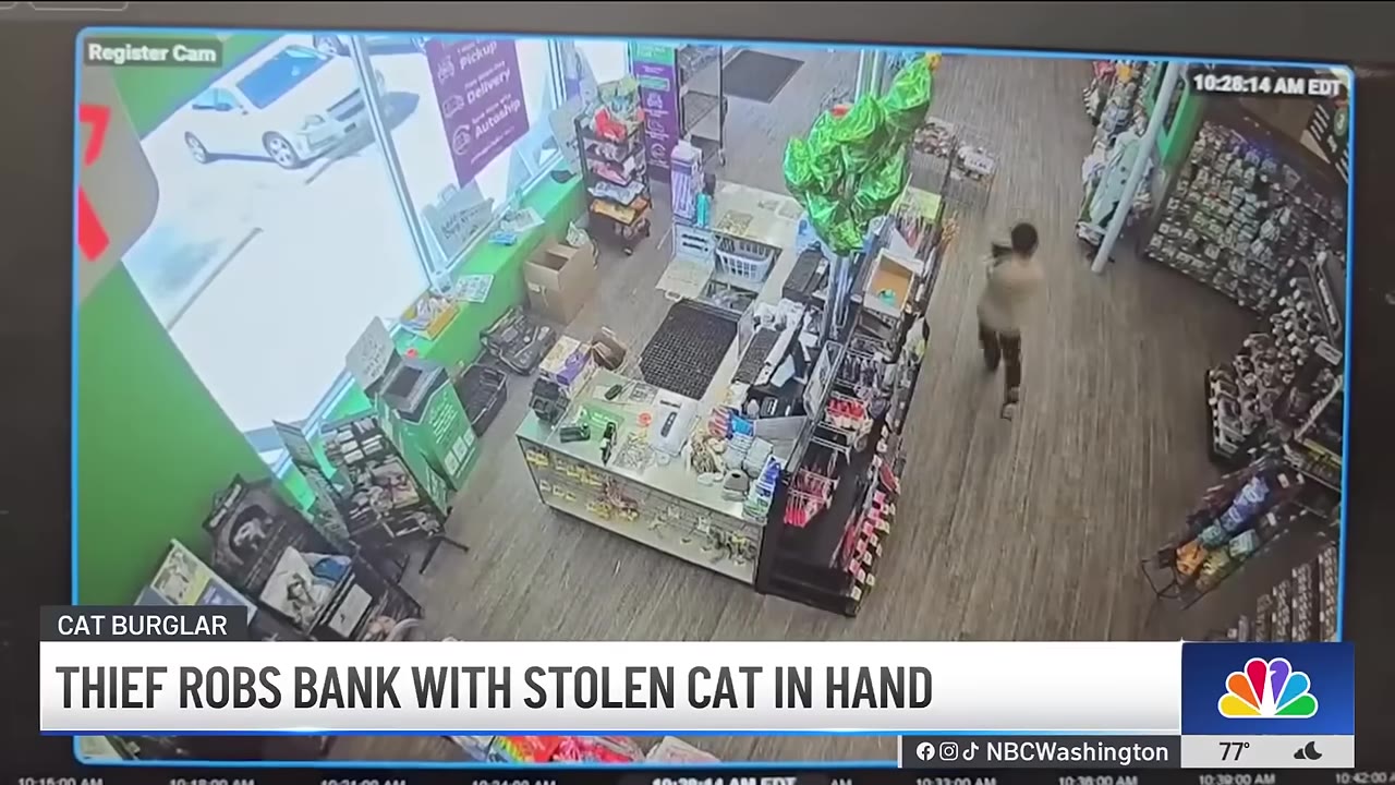 A security camera feed from inside a pet store shows a man running down the aisle carrying a cat.