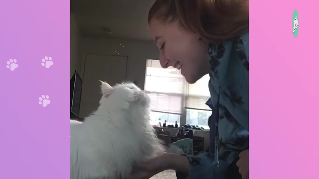 A fluffy white cat looks up affectionately at a smiling young woman who gently cradles the cat's chin in her hand.