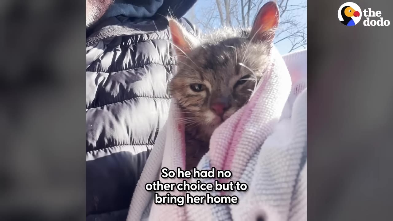 A small brown tabby cat wrapped in a pink and white towel is held close by a person wearing a black puffer jacket.