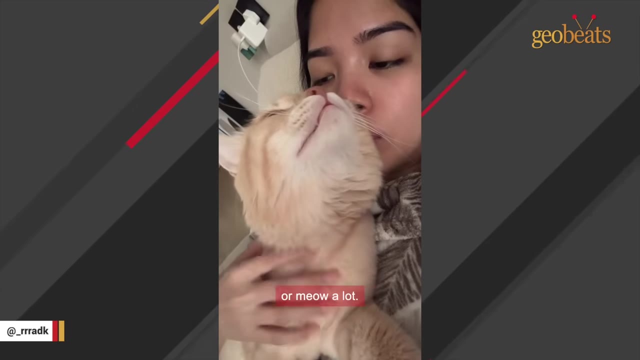 A fluffy orange cat nuzzles the chin of a woman who is lying down with her eyes open.
